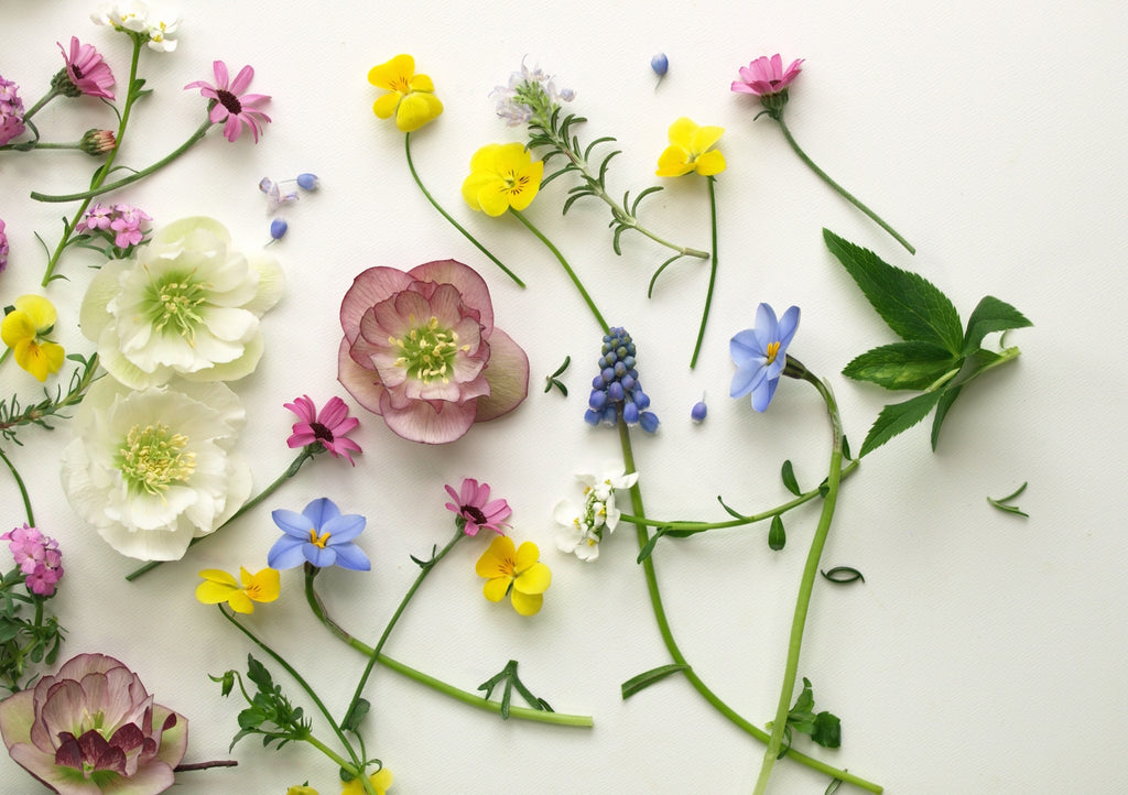 In Full Bloom: 10 Tips for Decorating with Flowers