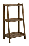 Dunnsville 3-Tier Ladder Shelf: Blonde