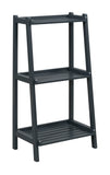 Dunnsville 3-Tier Ladder Shelf: Blonde