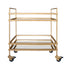 Modern Style Tubular Iron Bar Cart with 2 Mirrored Shelves, Gold