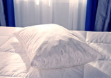 MyPillow® – The World’s Most Comfortable Pillow™