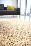 5' X 8' Beige Silky Shag Rug