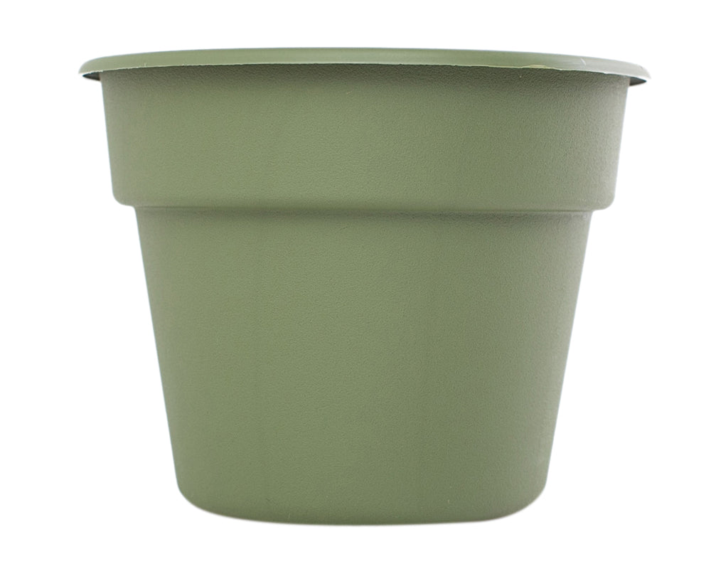Bloem 12Inch Dura Cotta Planter Living Green