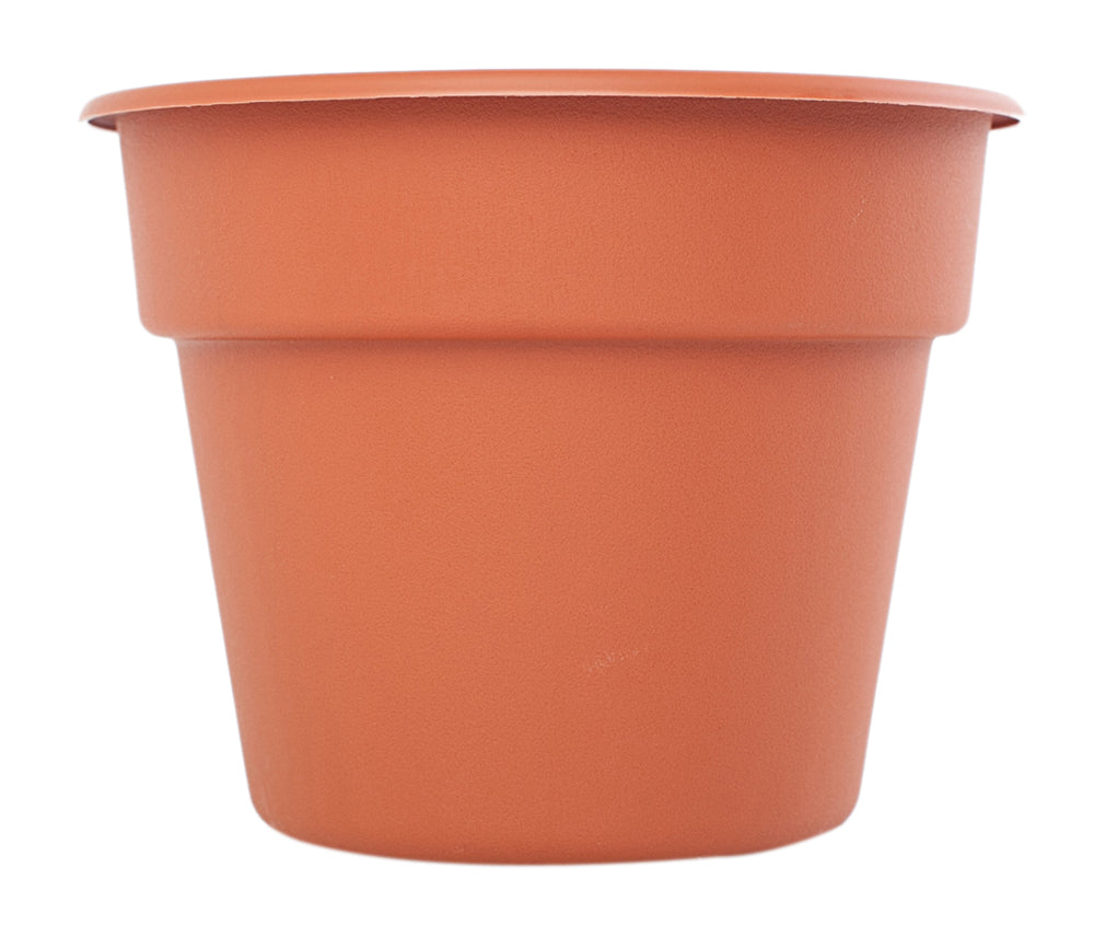 Bloem 12Inch Dura Cotta Planter Terra Cotta