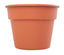 Bloem 12Inch Dura Cotta Planter Terra Cotta