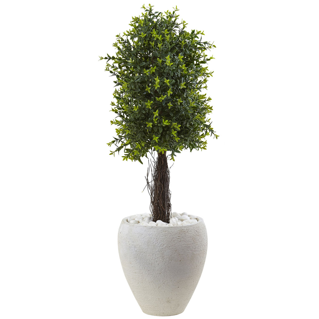 Ixora Topiary with White Planter UV Resistant - Indoor/Outdoor
