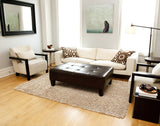 5' X 8' Beige Silky Shag Rug