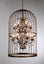 Rinee Cage Chandelier