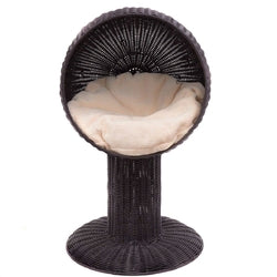 Elevated Wicker Rattan Cat Bed with Machine Washable Cushion